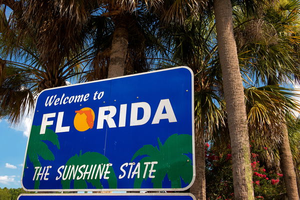 A Pro-family Handbook For Florida