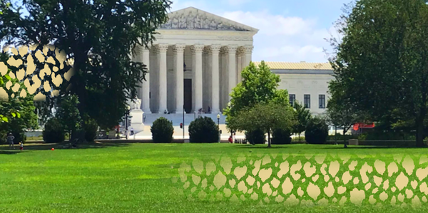 Historic Ruling for America’s Children and Families