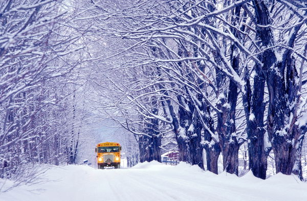 In Praise of New England Chores